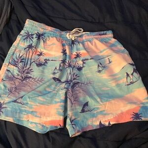 Chubbies swim trunks